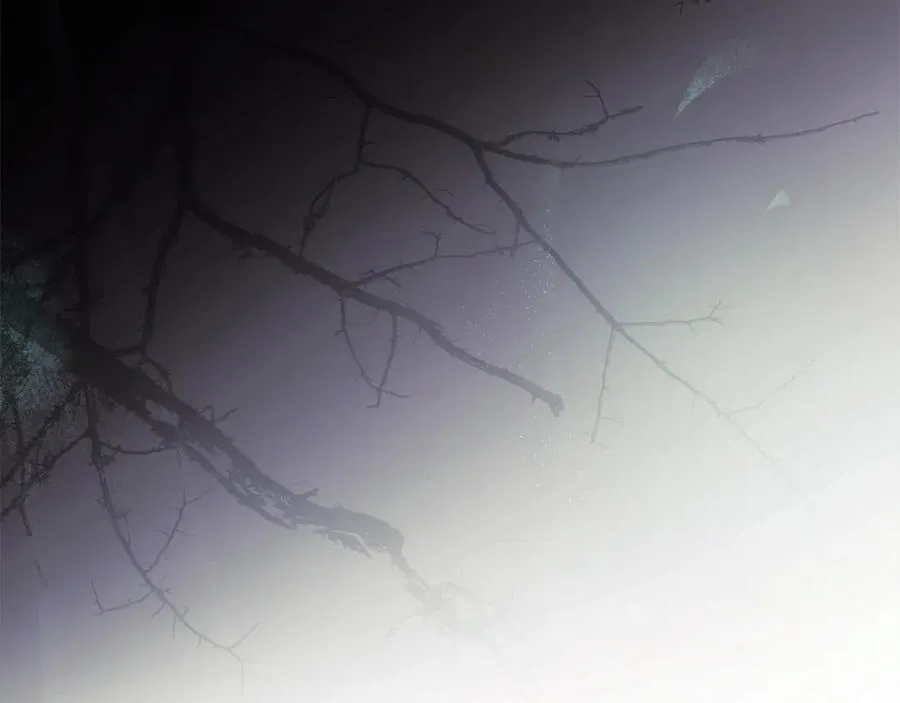 第217话 挽回前世悲剧 第163页
