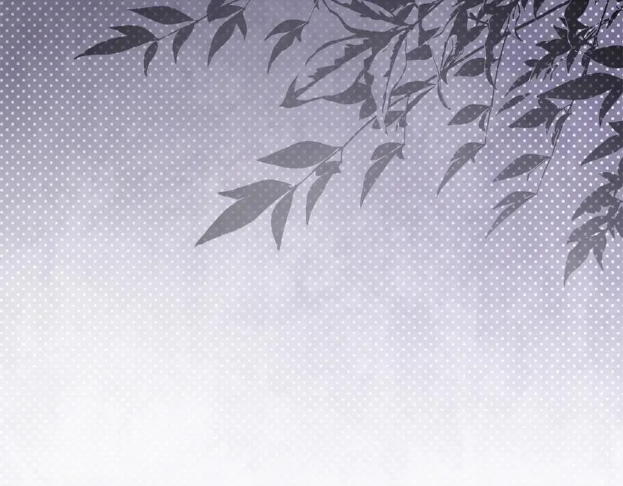 第227话 只做你的妻子 第32页
