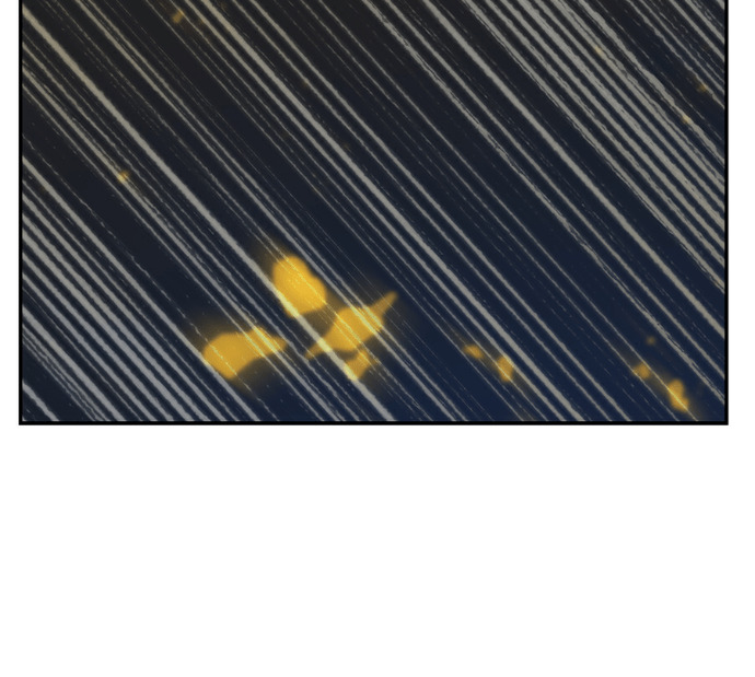 第136话 第138页
