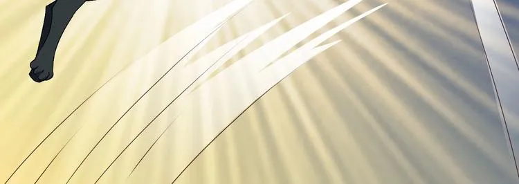 第16话 妖猫现身 第20页