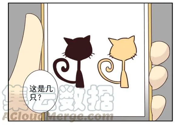 第三季11-12：那只白猫 第11页