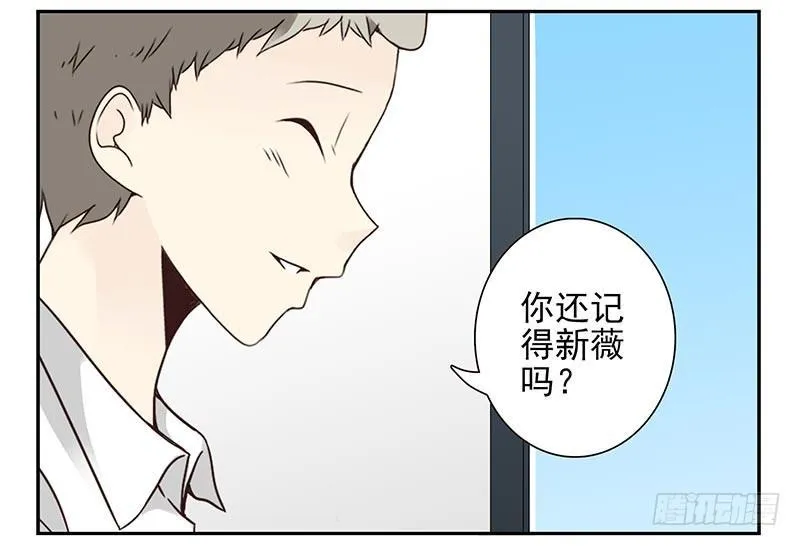 第四季95-96：新薇你认识吗 第15页