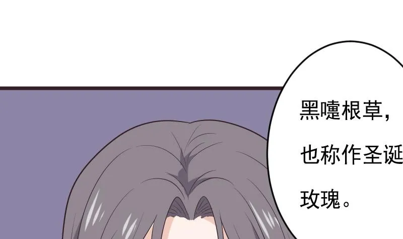 第276话 圣诞玫瑰 第44页