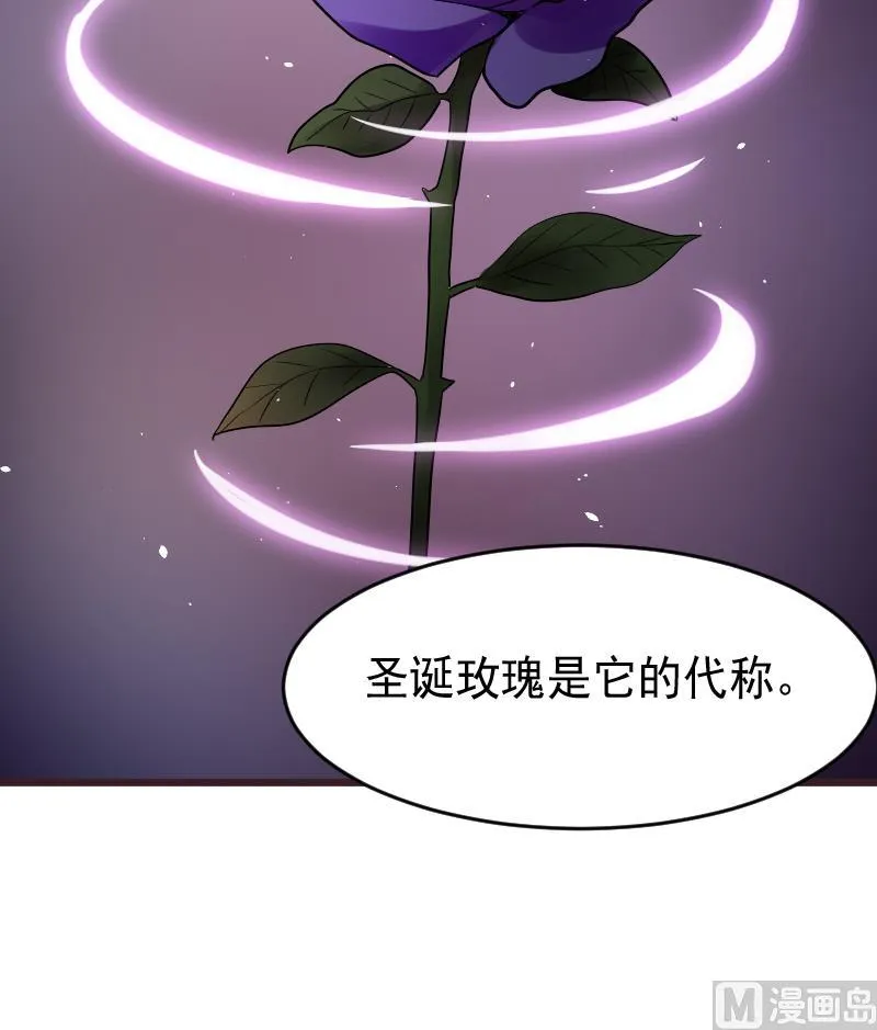 第276话 圣诞玫瑰 第51页