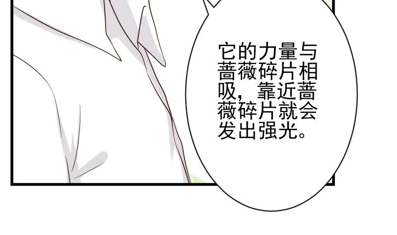 第83话 把蔷薇碎片带回来 第14页