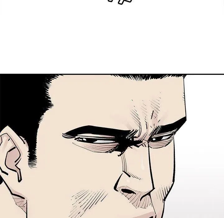 48 第84页