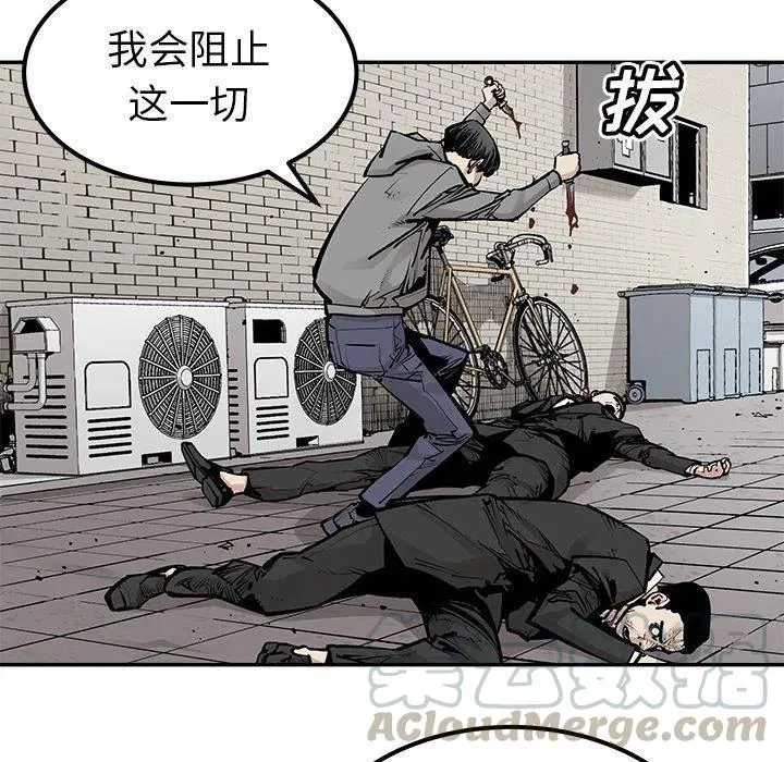 46 第43页