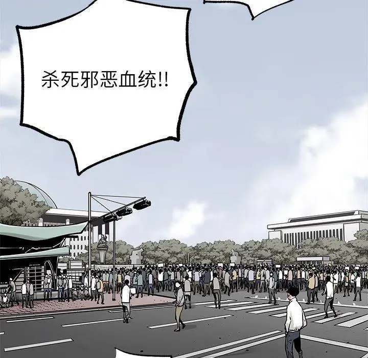 46 第51页