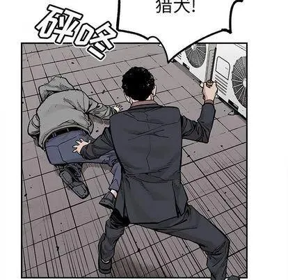 44 第53页