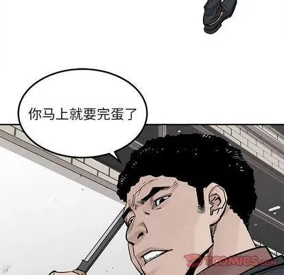 44 第54页