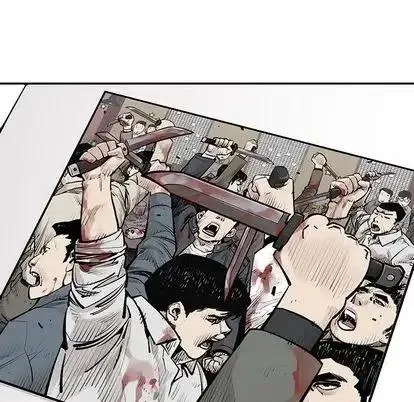 43 第41页
