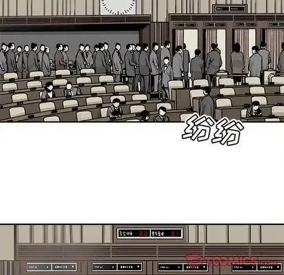 43 第78页