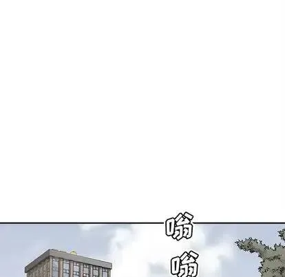 43 第81页
