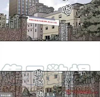 43 第82页
