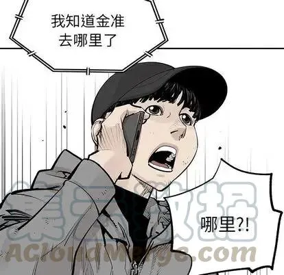 43 第85页