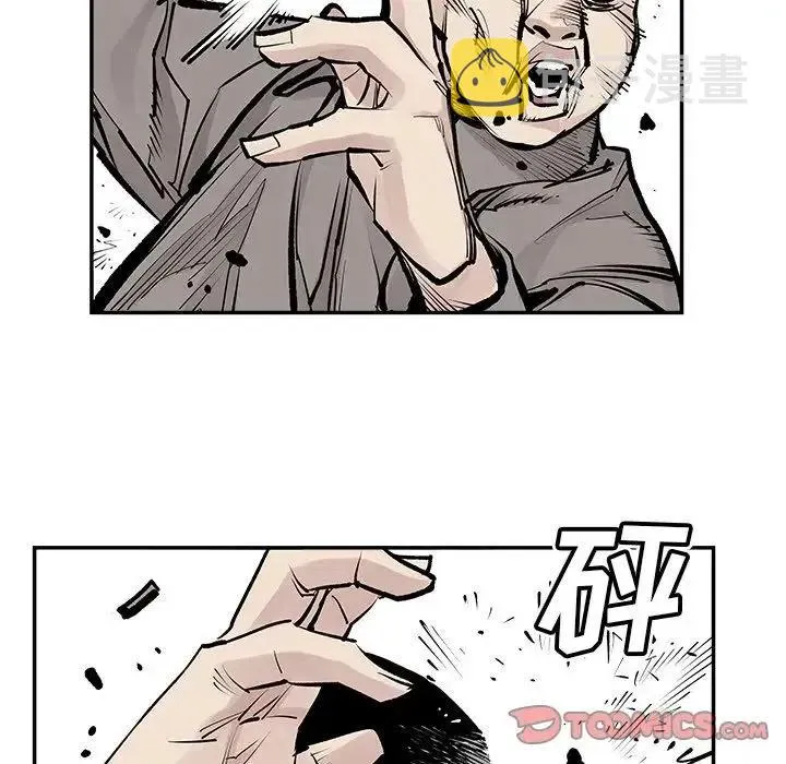 41 第5页