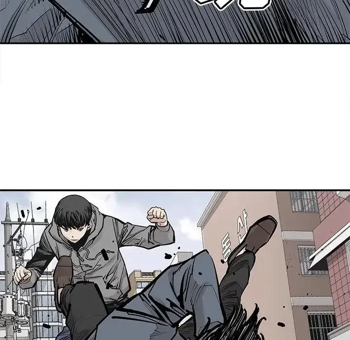 41 第8页