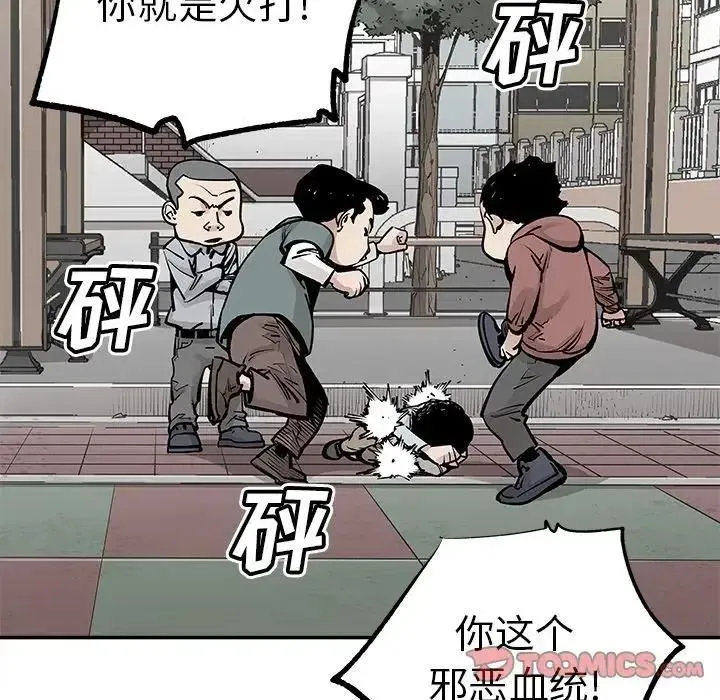 41 第29页