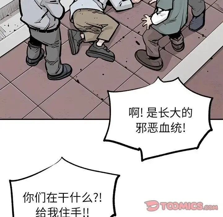 41 第35页