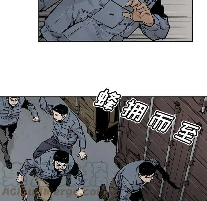 39 第49页