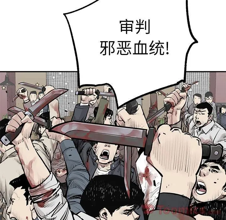 28 第74页