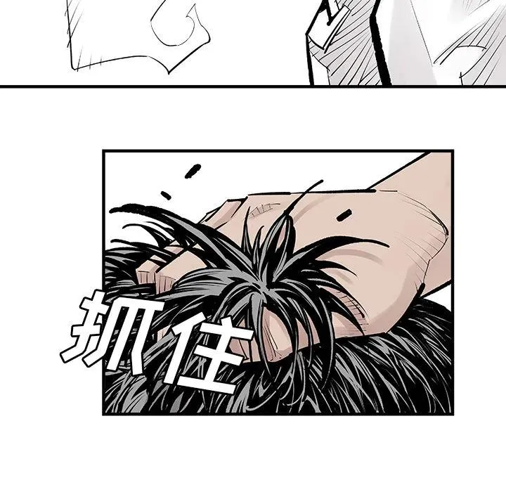 3 第50页