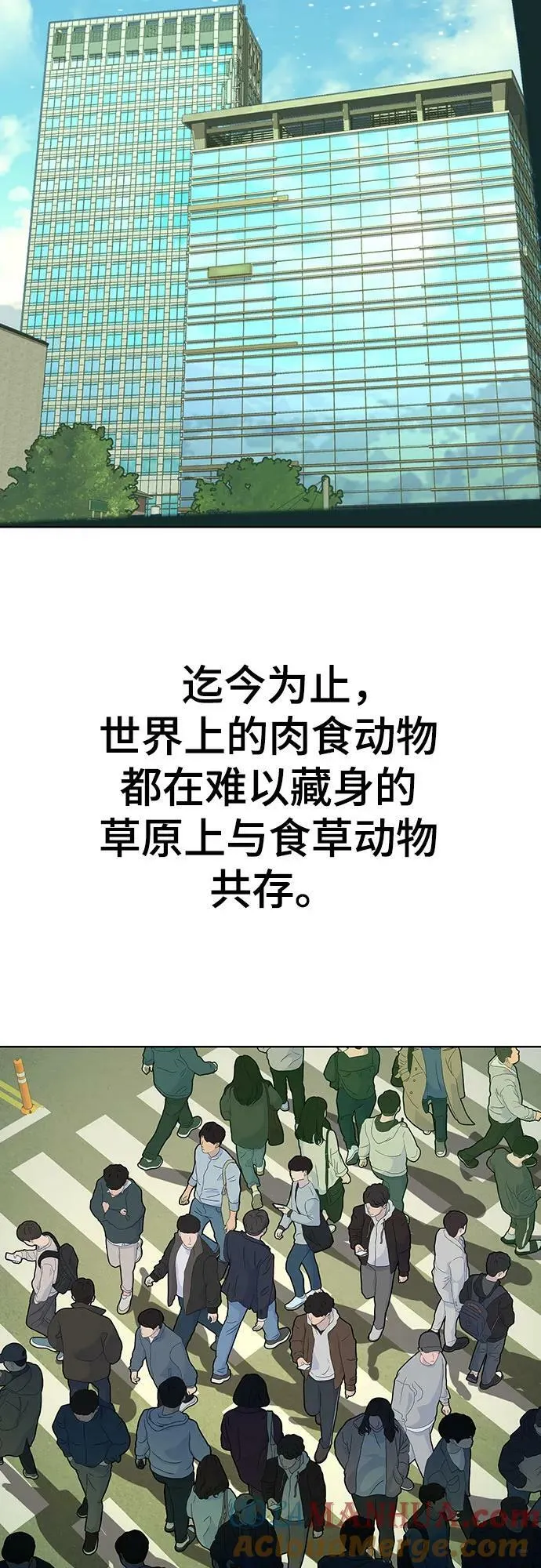 第41话 第16页