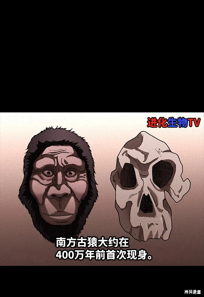 第32话 第64页