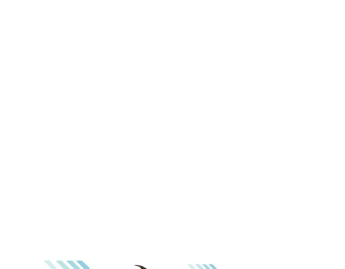 第11话 第71页