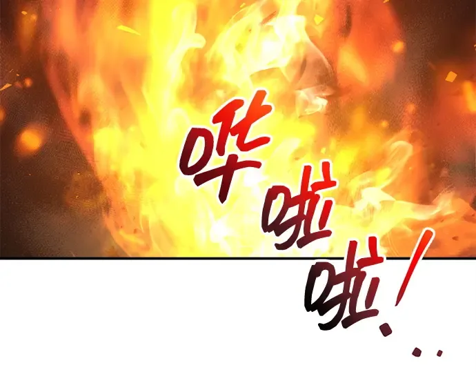 第133话 第114页