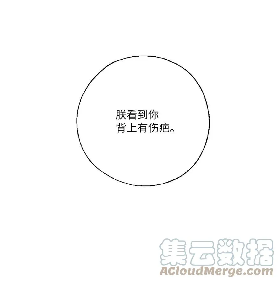 74 背部伤疤 第31页