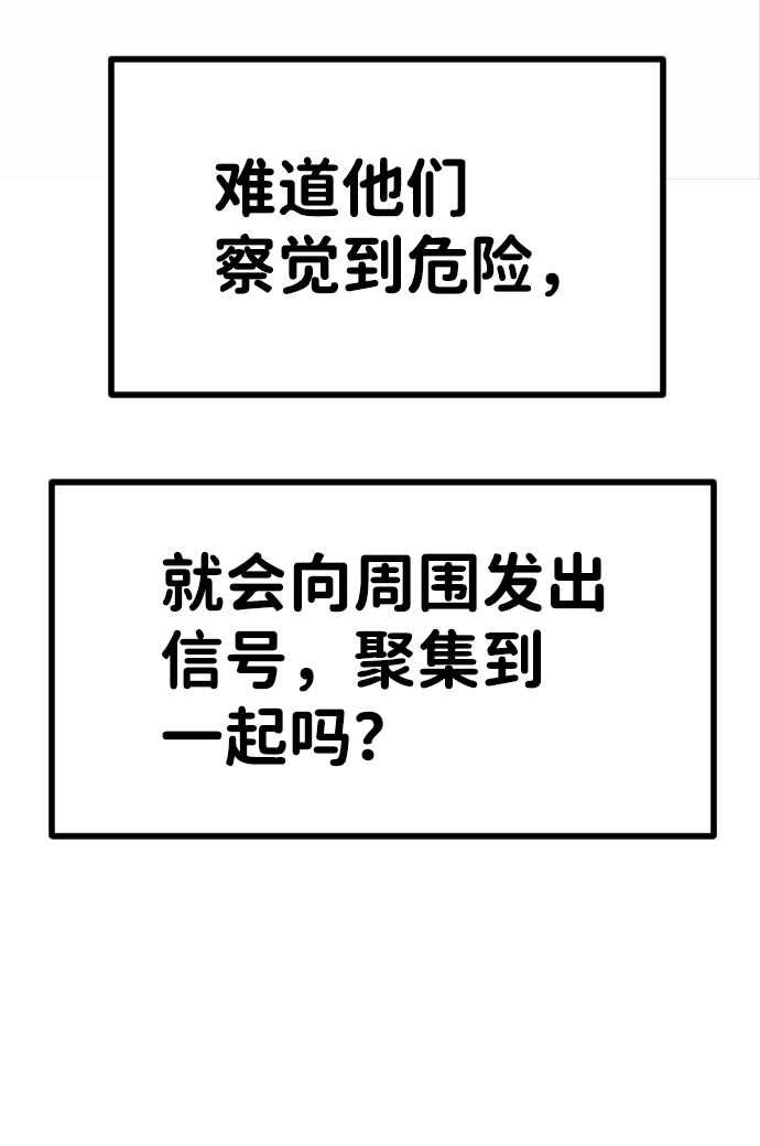 第39话 第69页
