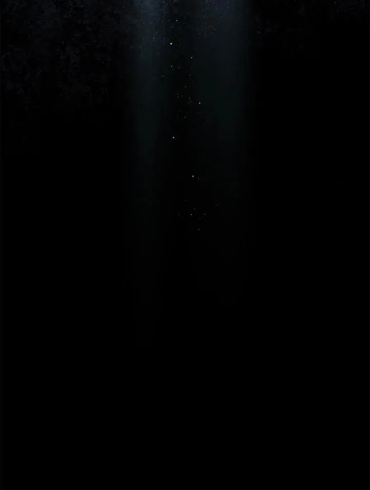 第56话 第40页