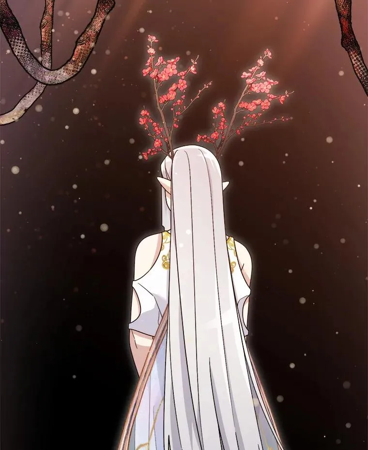107.精灵王 第5页