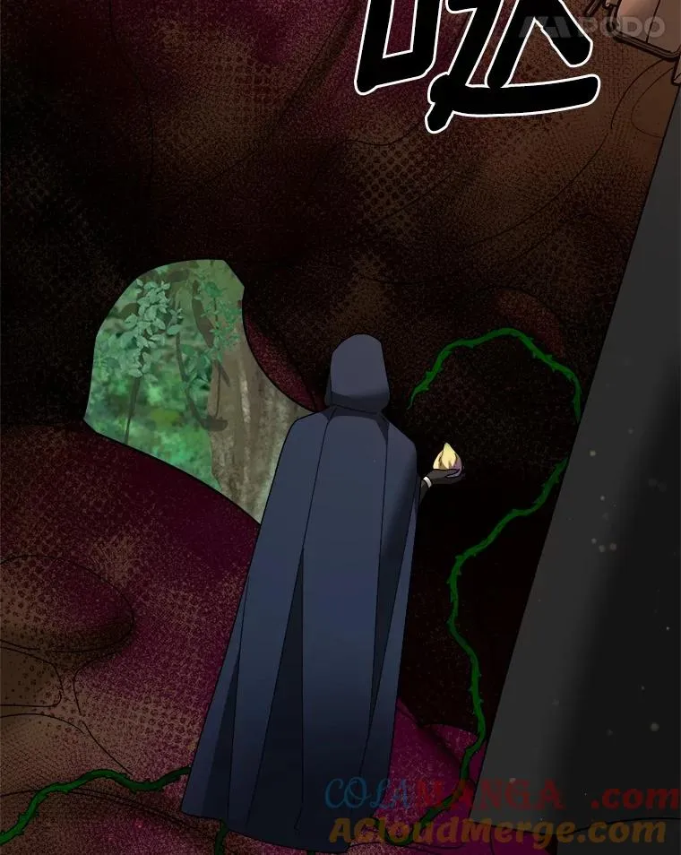 107.精灵王 第88页