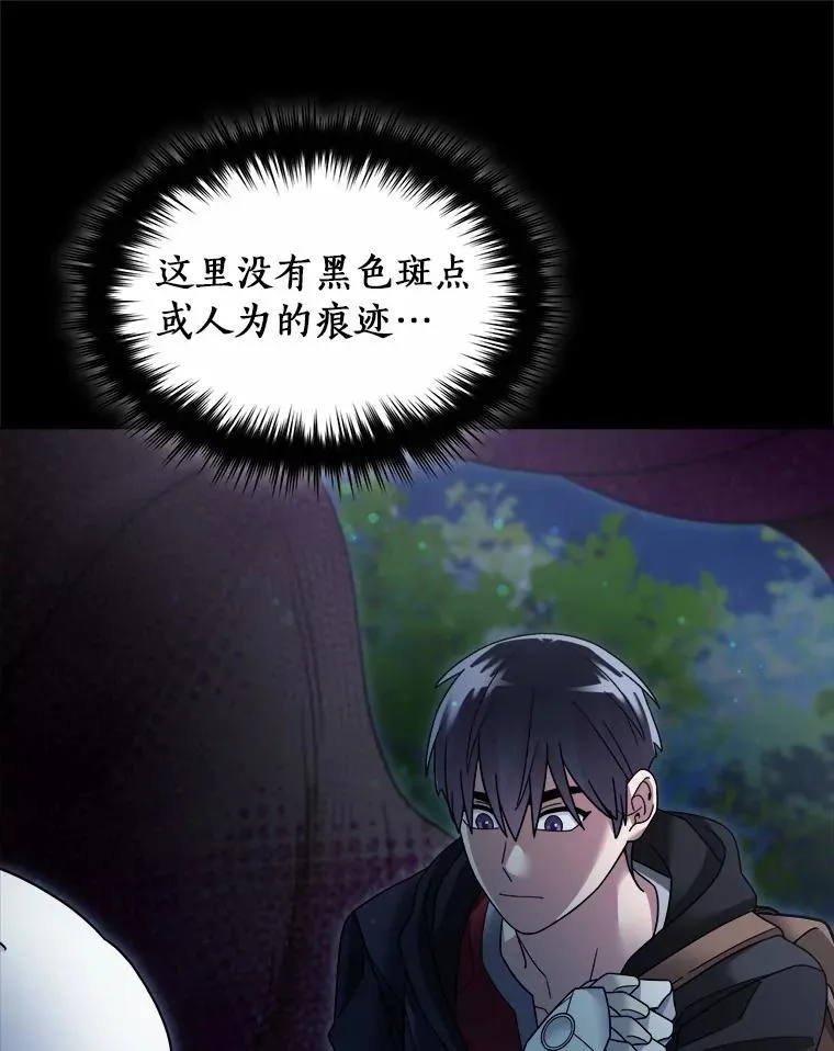 110.寻找种之心脏 第78页