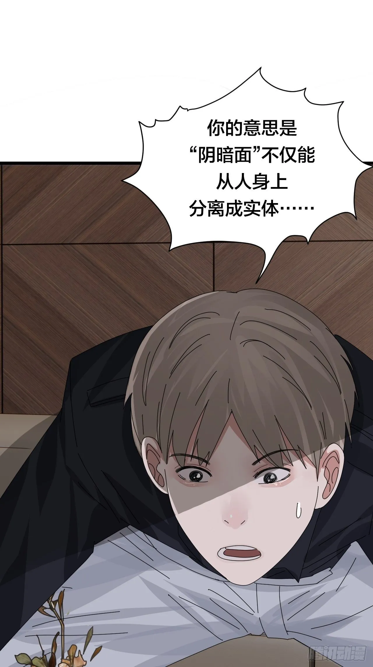 第二十九话 造访老何（二） 第2页