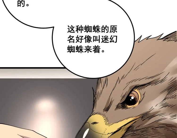 第51话 幻影蜘蛛 第13页