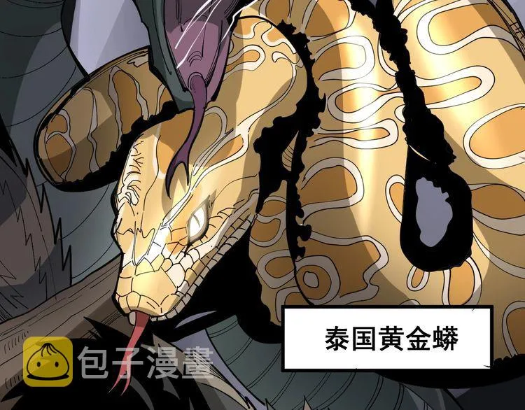 第91话 准备工作复杂点！ 第100页