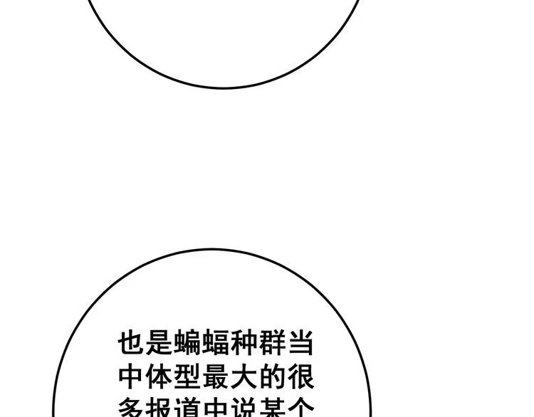 第121话 效忠我博卡 第116页