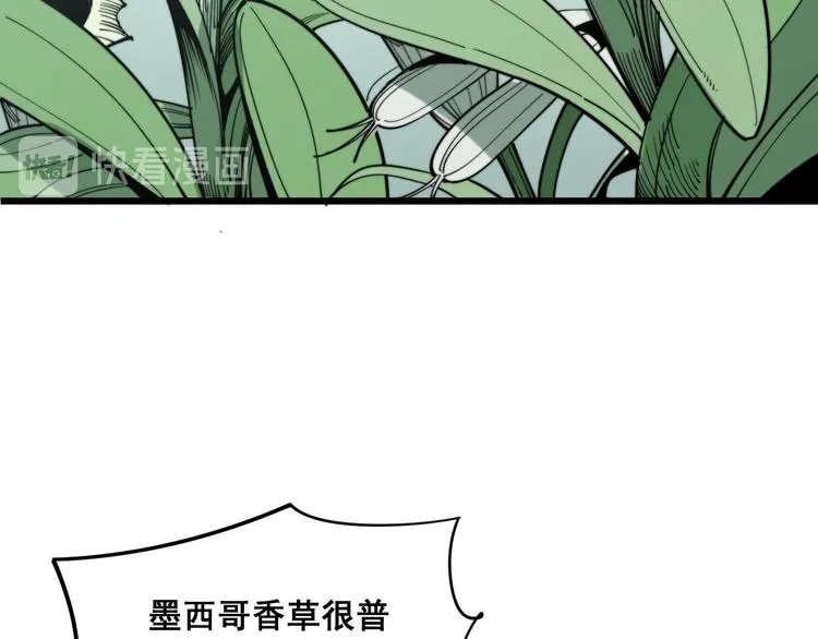 第154话 神秘香草 第35页