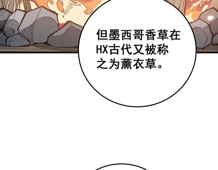 第154话 神秘香草 第40页