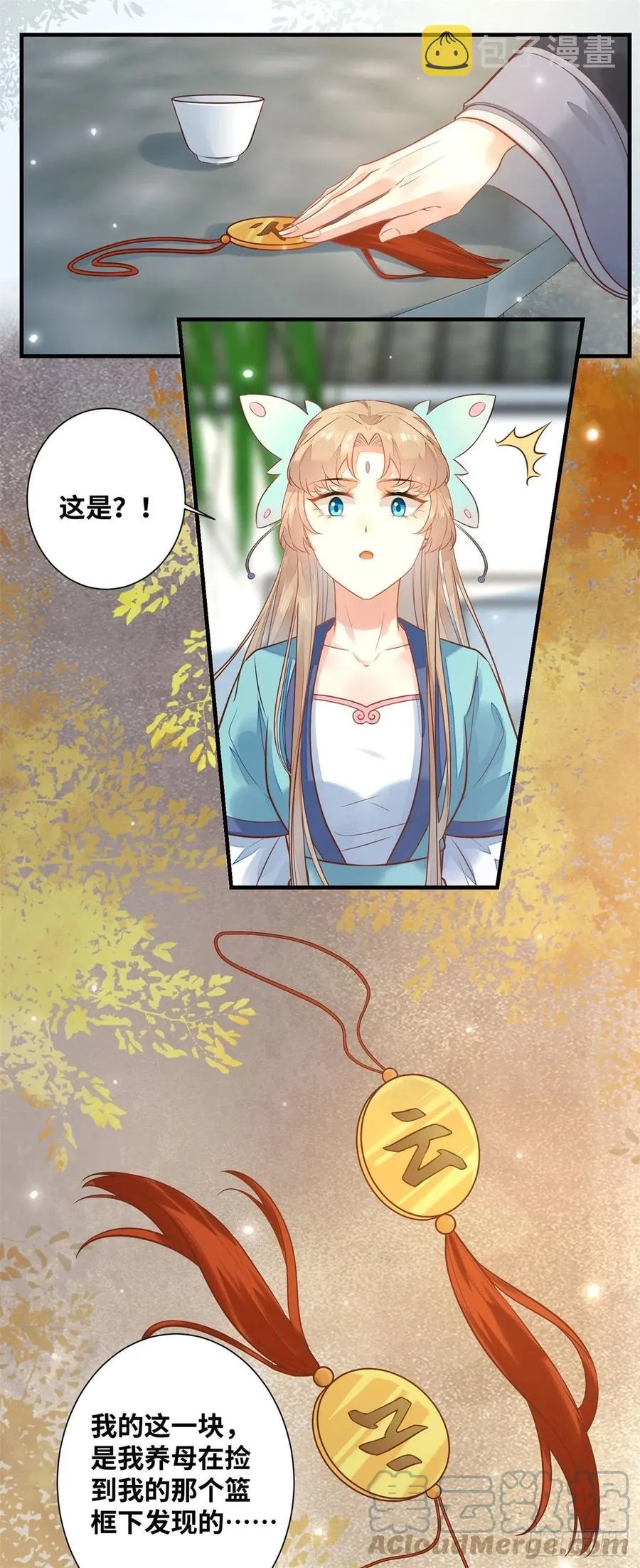 第194话 四皇子的心意 第17页