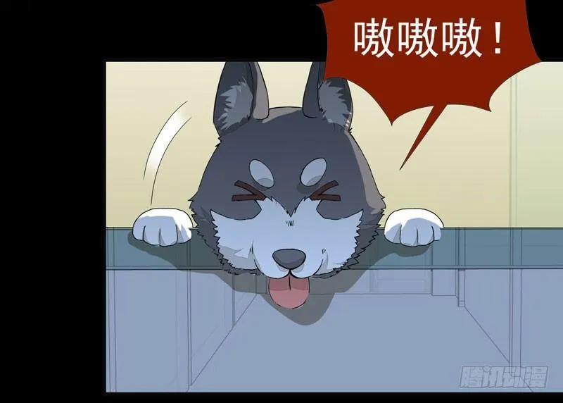 第001章 防火防盗，防不了穿越 第24页