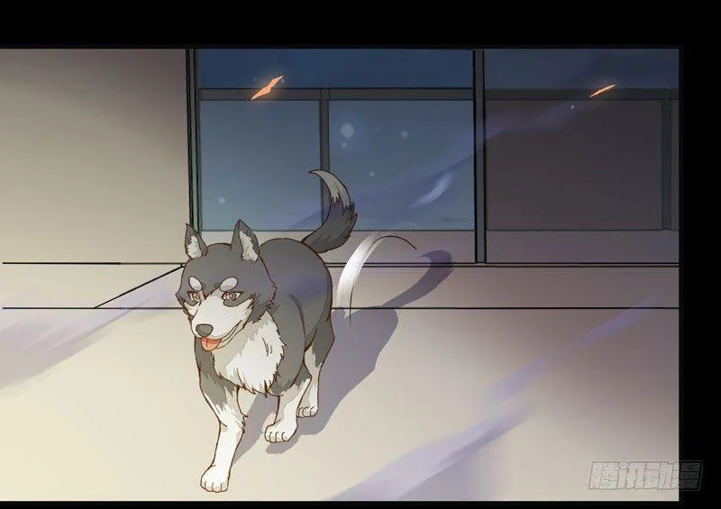第001章 防火防盗，防不了穿越 第29页