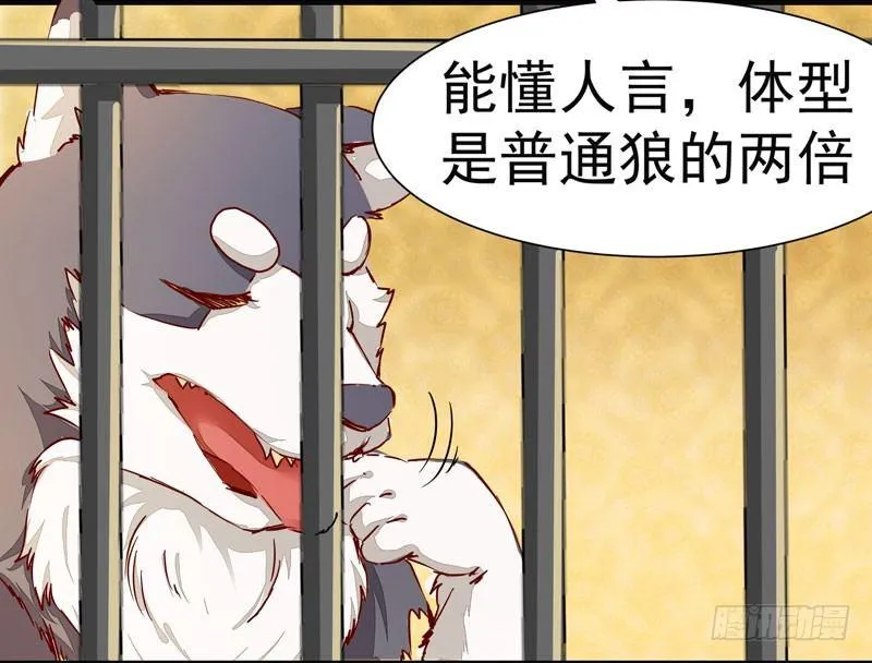 第006话 狼王竟是哈士奇 第17页