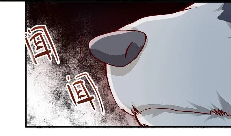 第006话 狼王竟是哈士奇 第30页