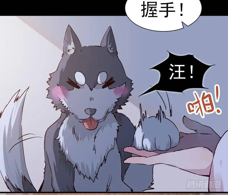 第008话 和我签订契约吧少女 第12页