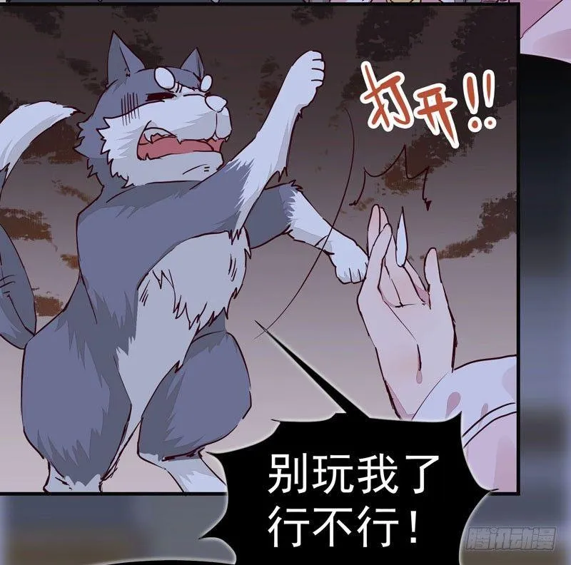 第008话 和我签订契约吧少女 第14页