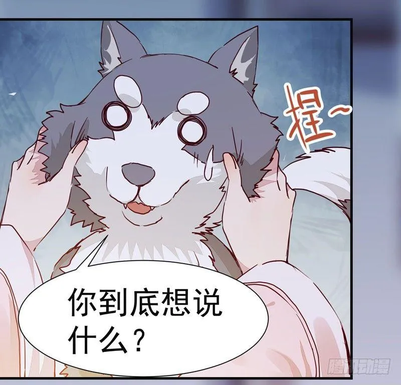 第008话 和我签订契约吧少女 第19页